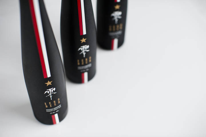 ABSOLUTE ZERO ELEVATIONS 4