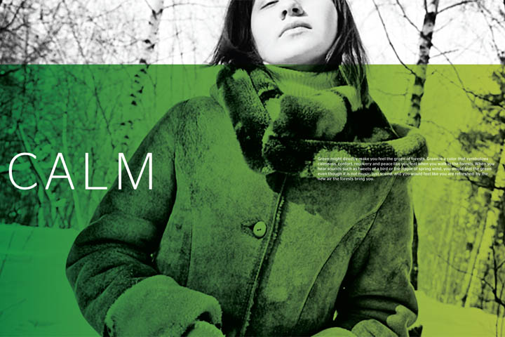 ENVIRONMENTALLY SOUND 8