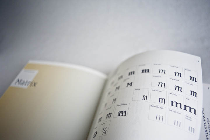 HYPOTHESIZING GAIA 6